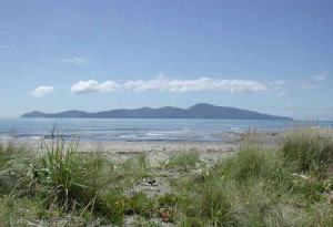 kapiti homes